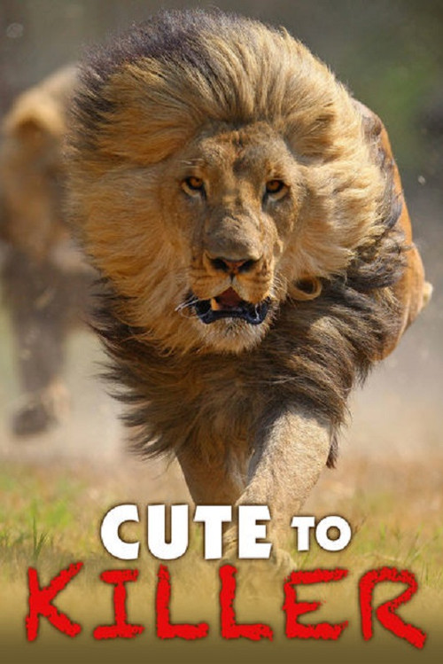 Movie poster for Cute to Killer (2014)