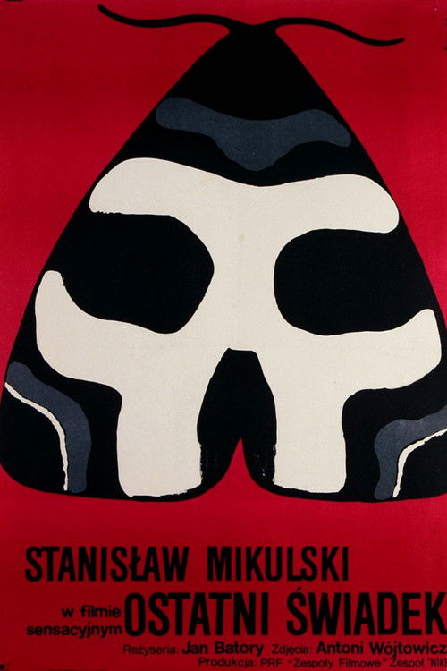 Movie poster for The Last Witness (1970)