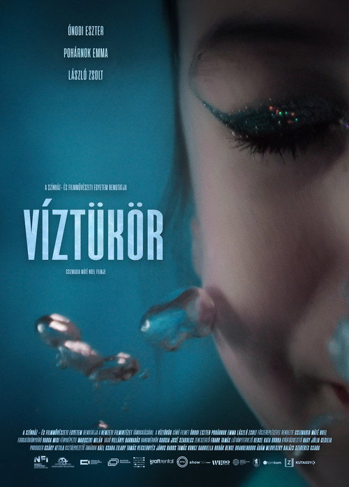 Movie poster for Reflections (2026)