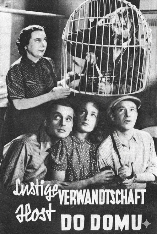 Movie poster for Host do domu (1942)