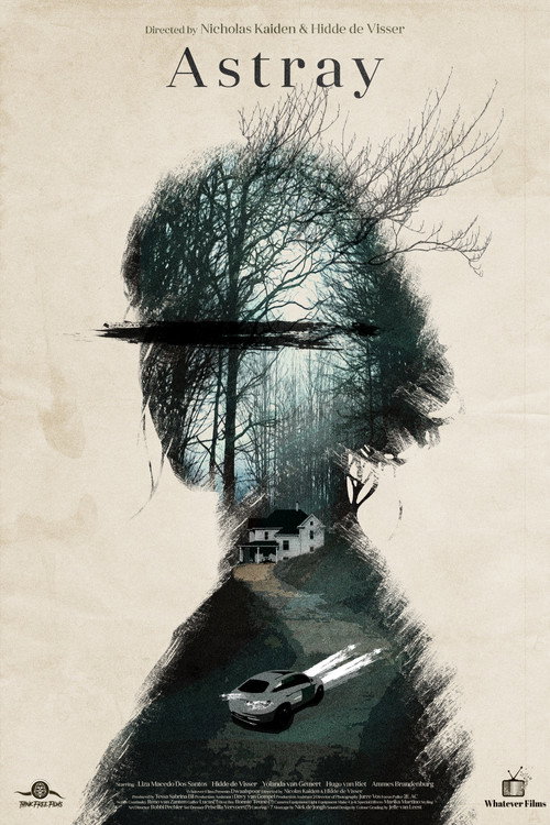 Movie poster for Astray (2025)