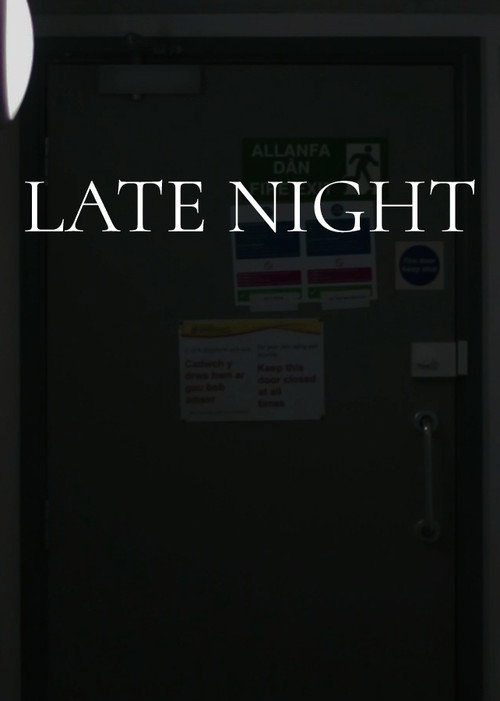 Movie poster for Late Night (2021)
