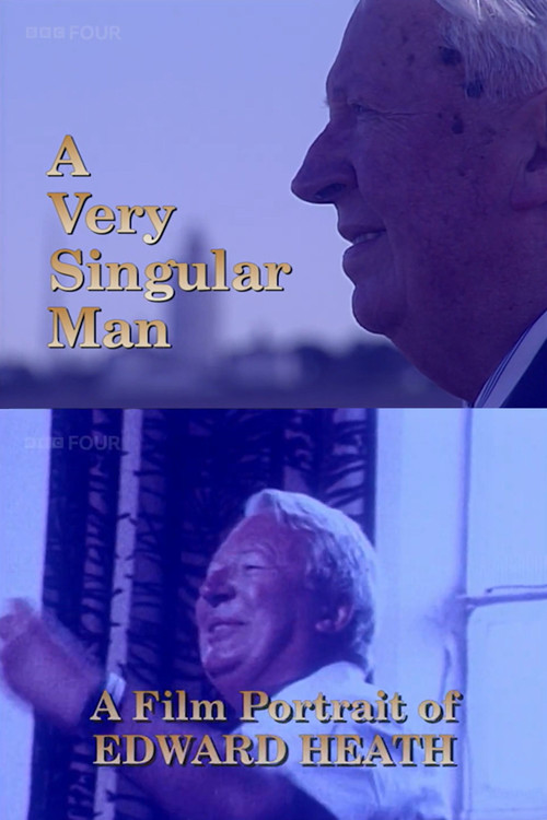 Movie poster for A Very Singular Man (1998)