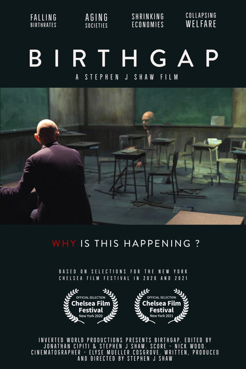 Movie poster for Birthgap - Childless World (2023)