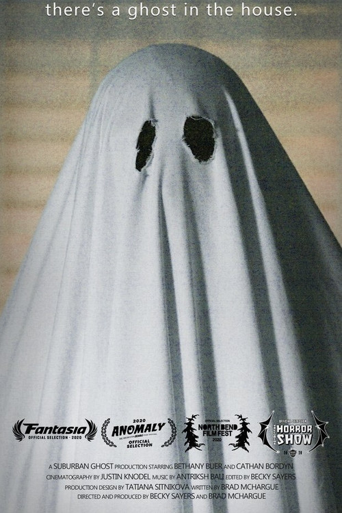 Movie poster for There's a Ghost in the House (2020)