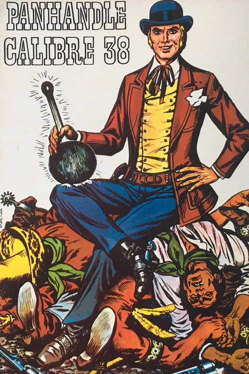 Movie poster for Panhandle 38 (1972)