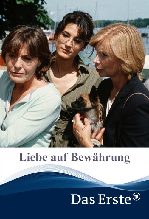 Movie poster for Liebe auf Bewährung (2004)
