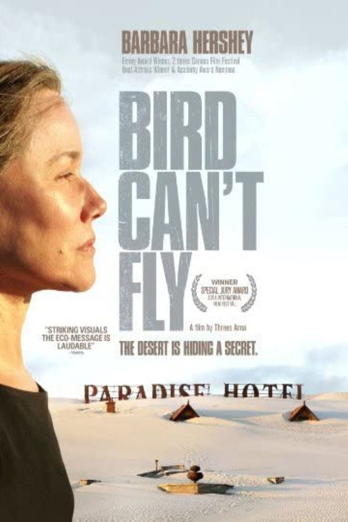 Movie poster for The Bird Can't Fly (2008)