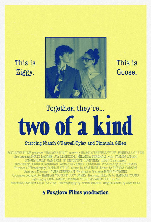 Movie poster for Two of a Kind (2025)