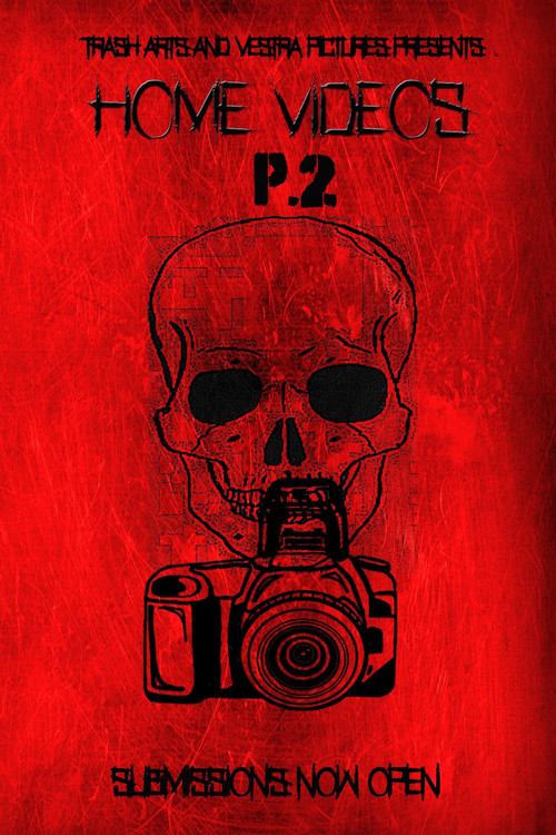 Movie poster for Home Videos 2 (2019)
