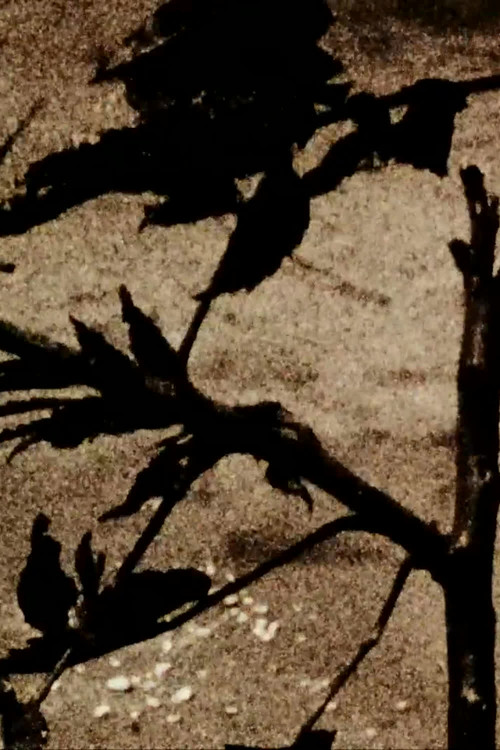 Movie poster for Kokoro Is for Heart (1999)