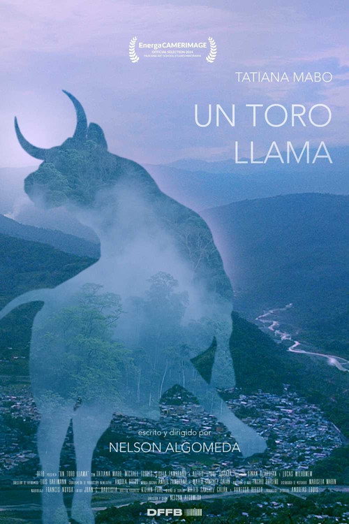 Movie poster for A Bull Calls (2024)