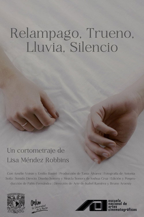 Movie poster for Silence After Storm (2023)