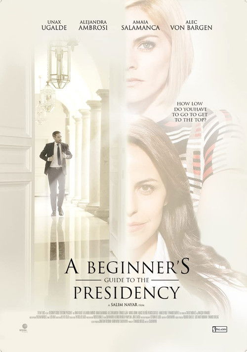 Movie poster for A Beginner's Guide to the Presidency (2016)