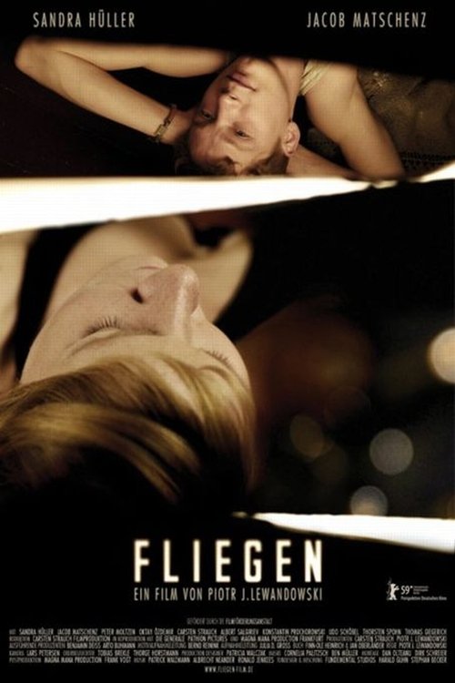Movie poster for Fly (2009)