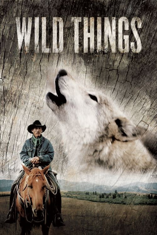 Movie poster for Wild Things (2012)