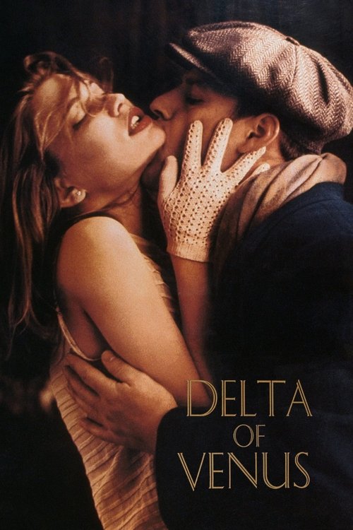 Movie poster for Delta of Venus (1995)