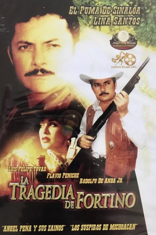 Movie poster for El Carretonero (2000)