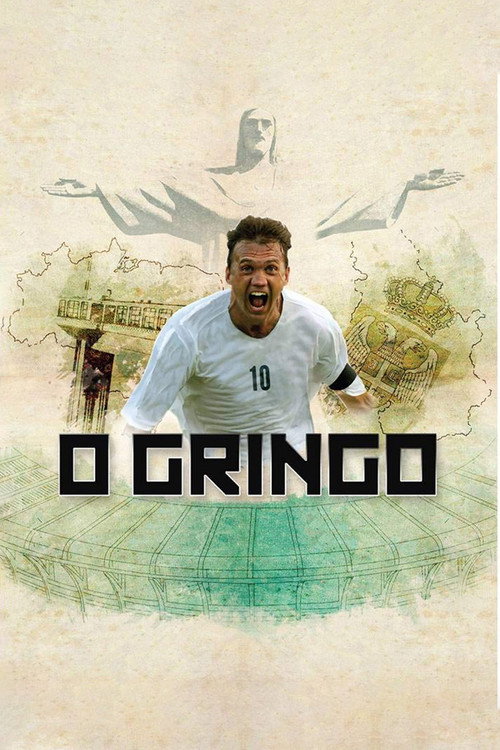 Movie poster for O Gringo (2011)