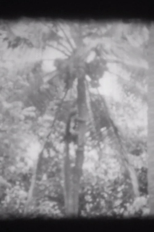 Movie poster for Trunks (2013)