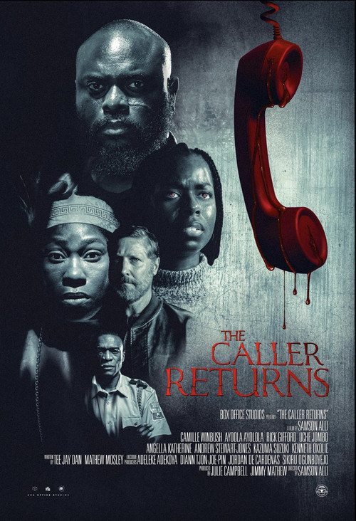 Movie poster for The Caller Returns