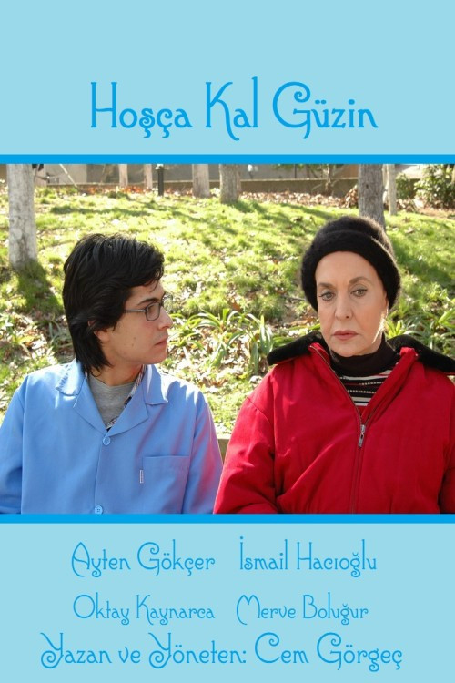 Movie poster for Hoşça Kal Güzin (2008)