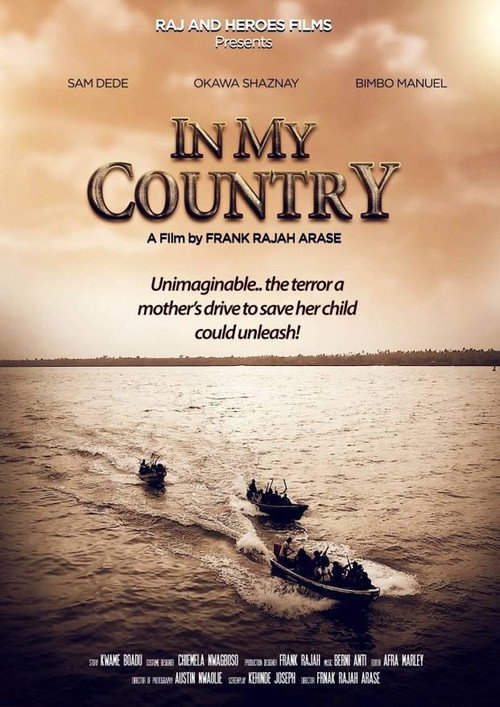 Movie poster for In My Country (2017)