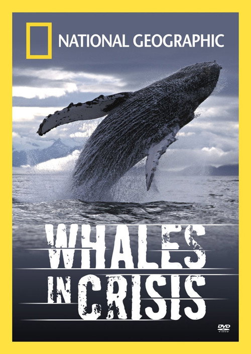 Movie poster for Whales in Crisis (2004)
