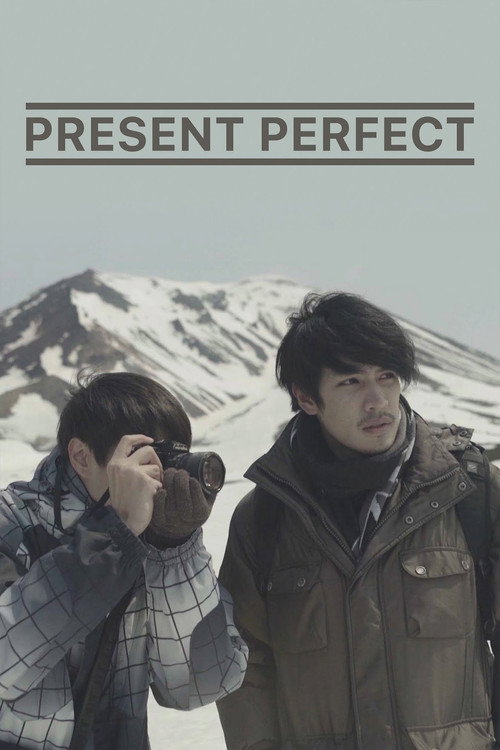 Movie poster for Present Perfect (2017)