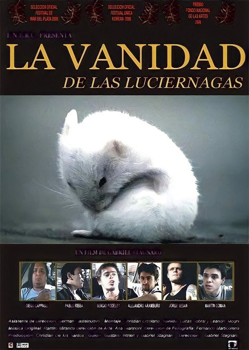 Movie poster for La vanidad de las luciérnagas (2006)