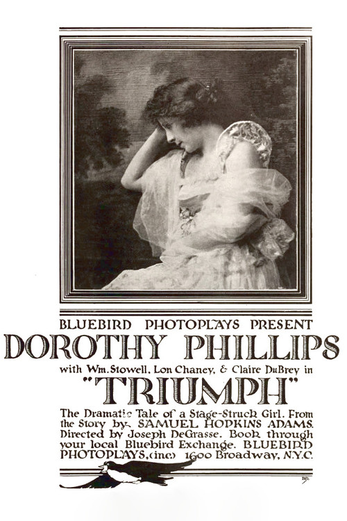 Movie poster for Triumph (1917)