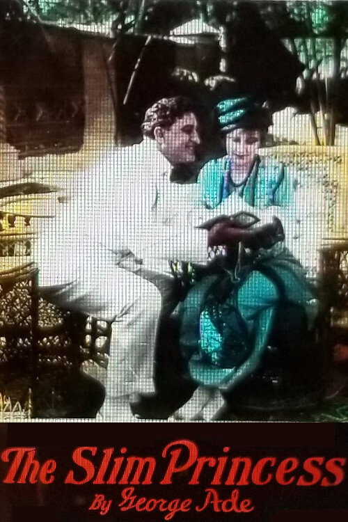 Movie poster for The Slim Princess (1915)