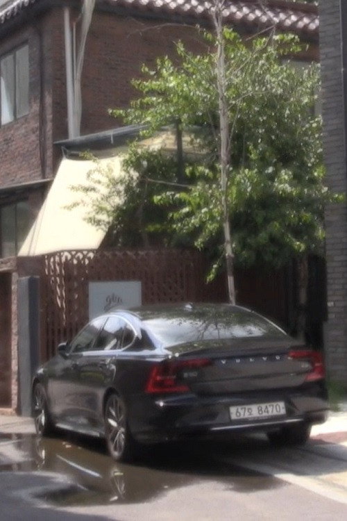 Movie poster for Tree Above Volvo (2025)