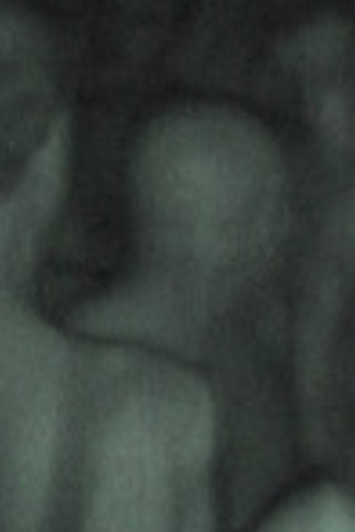 Movie poster for Black Room Revealed (2003)