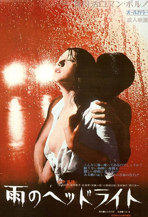 Movie poster for Headlights in the Rain (1972)