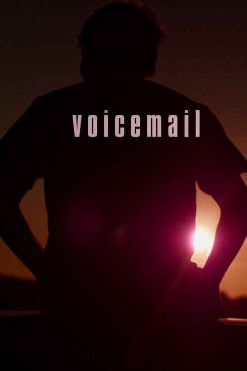 Movie poster for voicemail