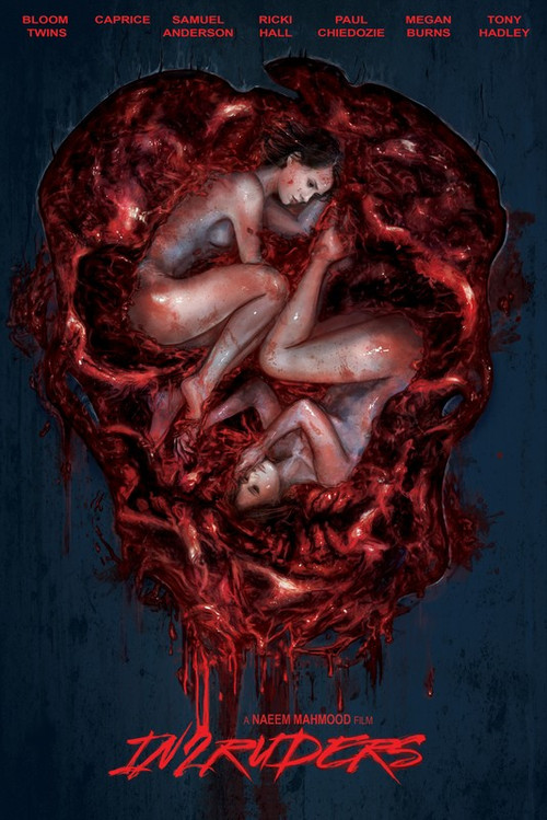 Movie poster for In2ruders (2018)
