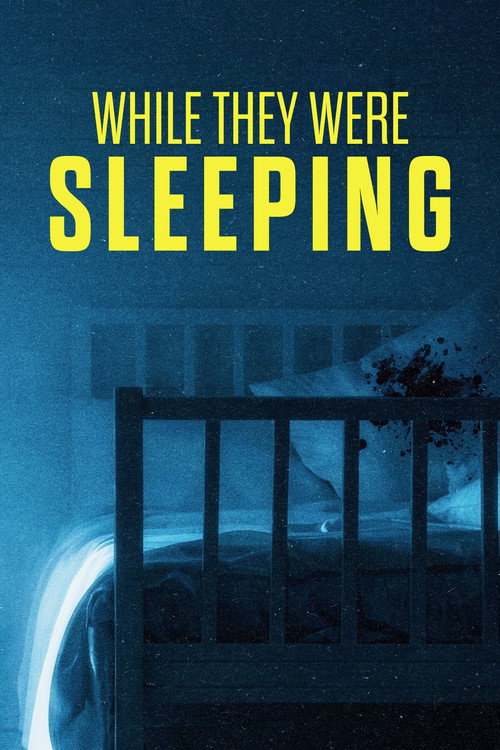 Movie poster for While They Were Sleeping (2025)