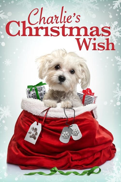 Movie poster for Charlie's Christmas Wish (2020)