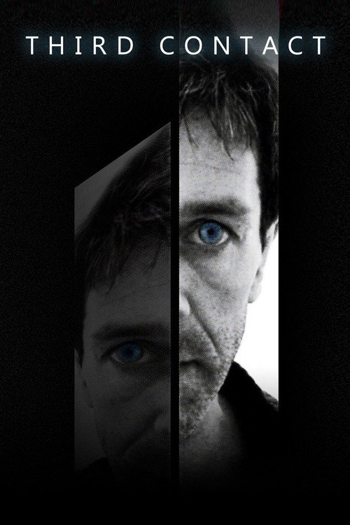 Movie poster for Third Contact (2013)