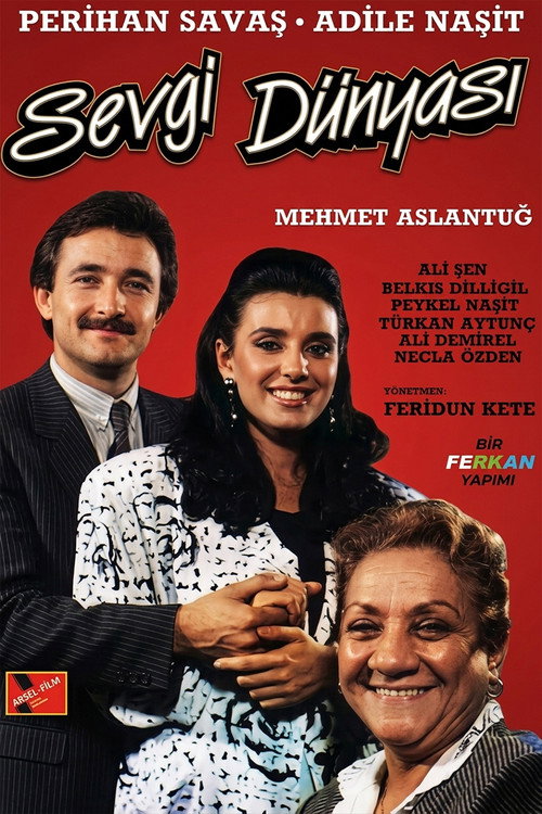 Movie poster for Sevgi Dünyası (1987)