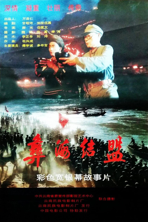 Movie poster for 彝海结盟 (1996)