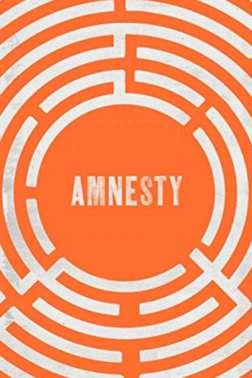 Movie poster for Amnesty