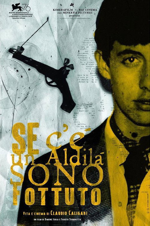 Movie poster for Se c’è un aldilà sono fottuto - Vita e cinema di Claudio Caligari (2019)