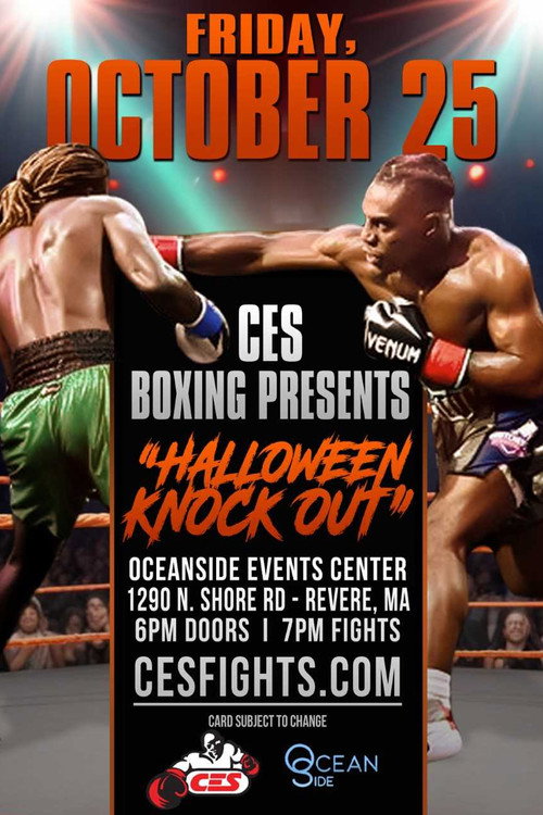 Movie poster for Rashidi Ellis vs. Brian Chaves (2024)