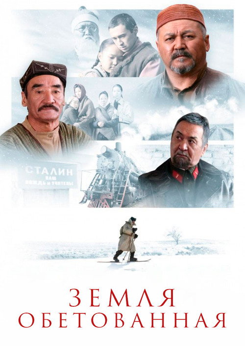 Movie poster for The Promised Land (2011)