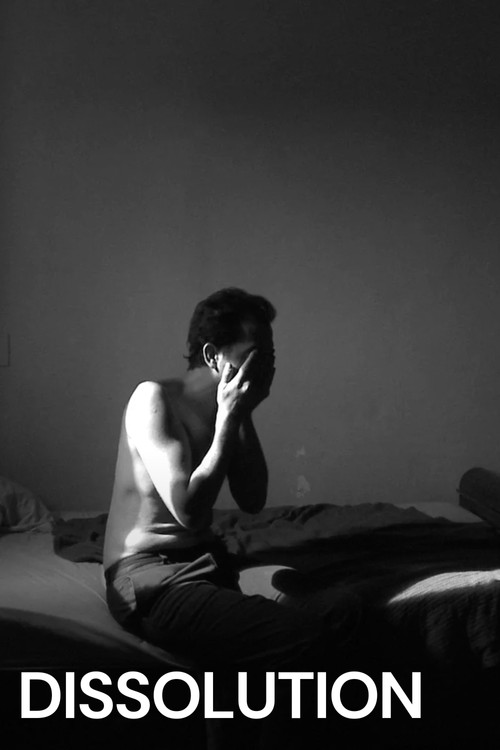 Movie poster for Dissolution (2010)