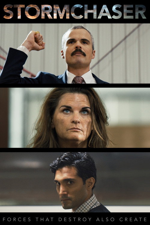 Movie poster for Stormchaser (2019)