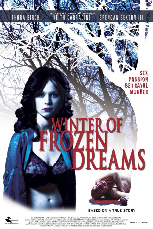 Movie poster for Winter of Frozen Dreams (2009)