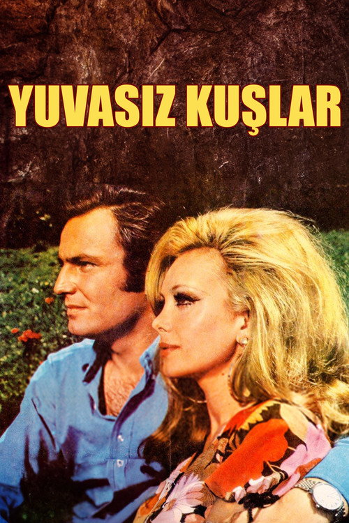 Movie poster for Yuvasız Kuşlar (1971)